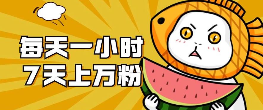 暴力涨粉项目：每天一小时，七天上万粉【揭秘】-致富资源库