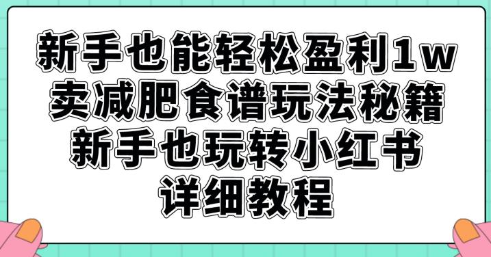 新手也能轻松盈利1w，卖减肥食谱玩法秘籍，新手也玩转小红书详细教程【揭秘】-致富资源库