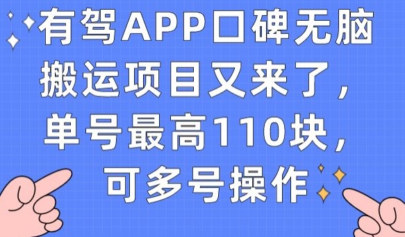 有驾APP口碑无脑搬运项目又来了，单号最高110块，可多号操作-致富资源库