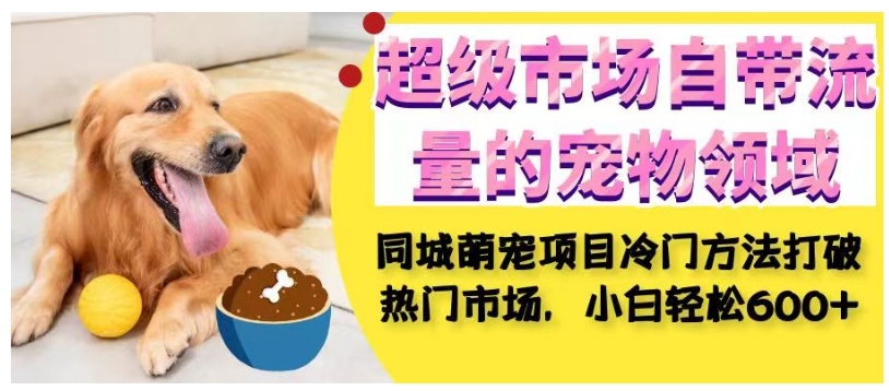 超级市场自带流量的宠物领域,同城萌宠项目冷门方法打破热门市场,小白轻松600+-致富资源库