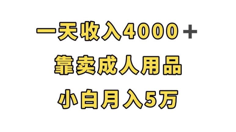 一天收入4000+,靠卖成人用品,小白轻松月入5万【揭秘】-致富资源库