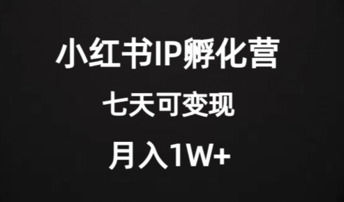 价值2000+的小红书IP孵化营项目,超级大蓝海,七天即可开始变现,稳定月入1W+-致富资源库