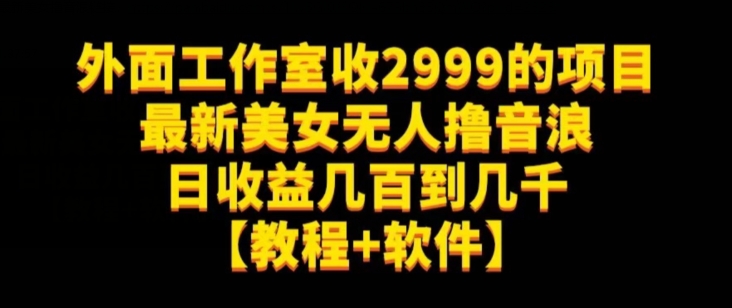 外面工作室收2999的项目最新美女无人撸音浪日收益几百到几千【教程+软件】(仅揭秘)-致富资源库