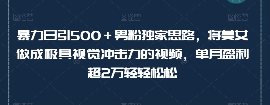 暴力日引500+男粉独家思路,将美女做成极具视觉冲击力的视频,单月盈利超2万轻轻松松-致富资源库
