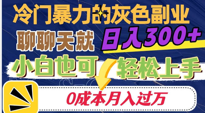 冷门暴利的副业项目，聊聊天就能日入300+，0成本月入过万【揭秘】-致富资源库