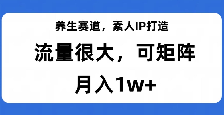养生赛道，素人IP打造，流量很大，可矩阵，月入1w+【揭秘】-致富资源库