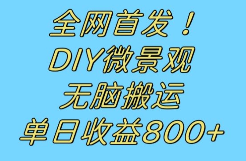全网首发冷门赛道！DIY微景观，无脑搬运视频，日收益800+【揭秘】-致富资源库