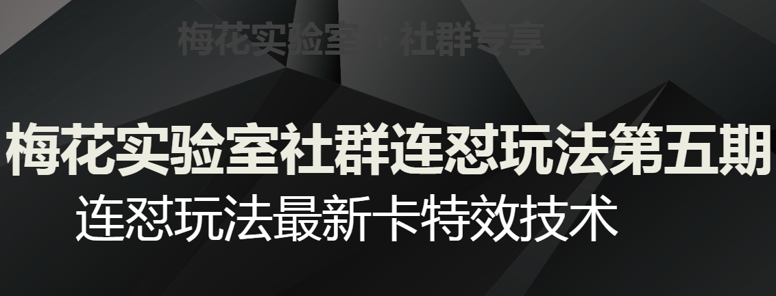 梅花实验室社群连怼玩法第五期，视频号连怼玩法最新卡特效技术-致富资源库