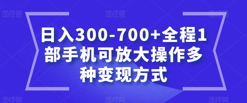 日入300-700+全程1部手机可放大操作多种变现方式【揭秘】-致富资源库