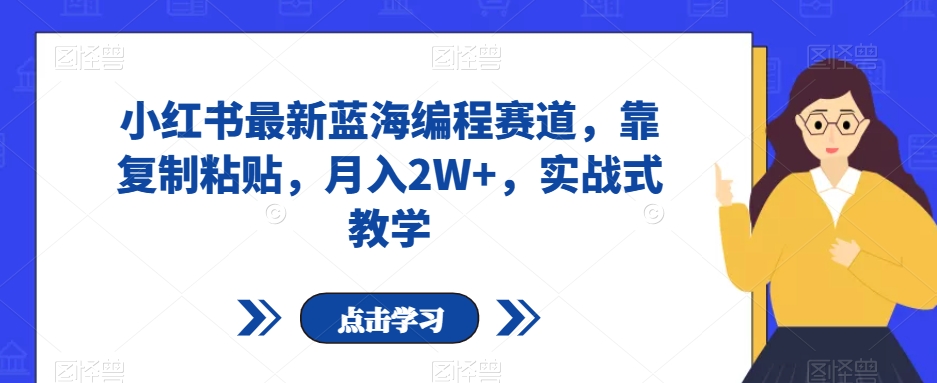 小红书最新蓝海编程赛道，靠复制粘贴，月入2W+，实战式教学【揭秘】-致富资源库