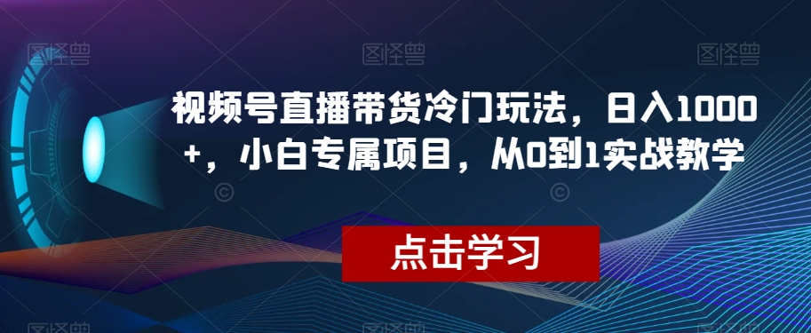视频号直播带货冷门玩法，日入1000+，小白专属项目，从0到1实战教学【揭秘】-致富资源库