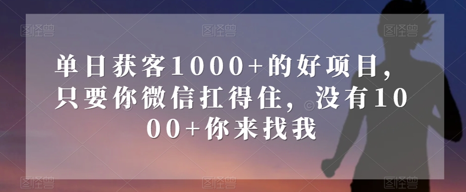 单日获客1000+的好项目，只要你微信扛得住，没有1000+你来找我【揭秘】-致富资源库