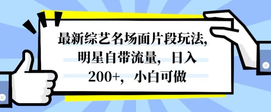 最新综艺名场面片段玩法，明星自带流量，日入200+，小白可做【揭秘】-致富资源库