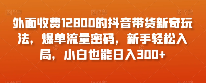 外面收费12800的抖音带货新奇玩法，爆单流量密码，新手轻松入局，小白也能日入300+【揭秘】-致富资源库