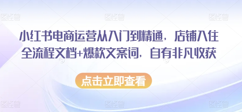 小红书电商运营从入门到精通,店铺入住全流程文档+爆款文案词,自有非凡收获-致富资源库