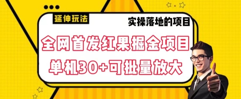 全网首发红果免费短剧掘金项目，单机30+可批量放大【揭秘】-致富资源库
