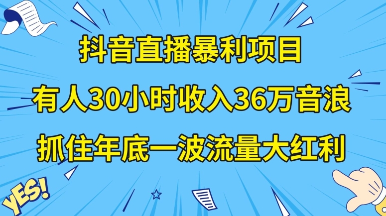 抖音直播暴利项目,有人30小时收入36万音浪,公司宣传片年会视频制作,抓住年底一波流量大红利【揭秘】-致富资源库