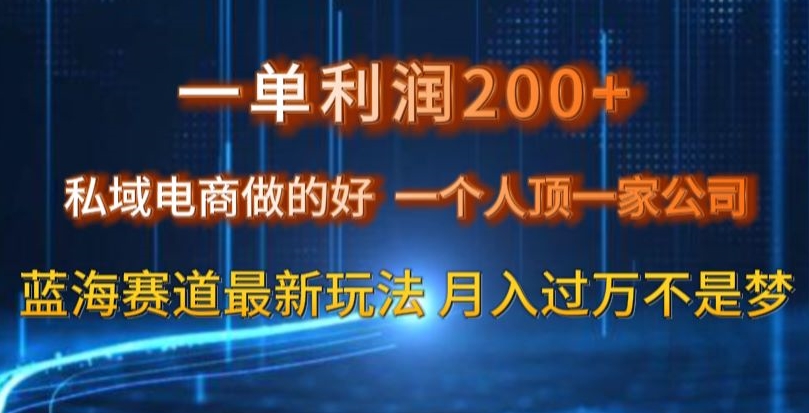 一单利润200私域电商做的好，一个人顶一家公司蓝海赛道最新玩法【揭秘】-致富资源库