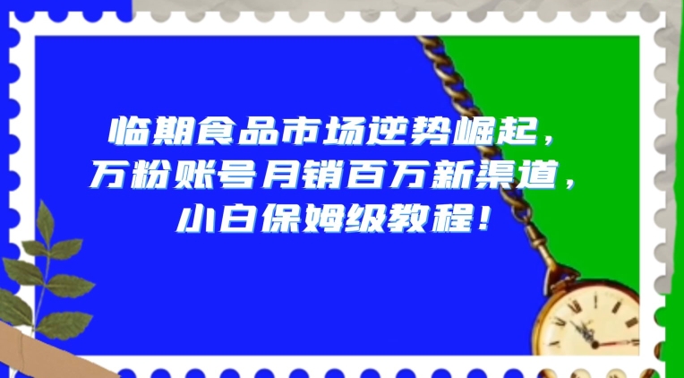 临期食品市场逆势崛起,万粉账号月销百万新渠道,小白保姆级教程【揭秘】-致富资源库