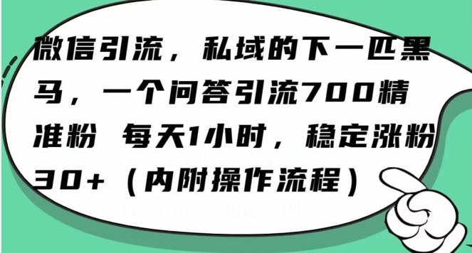 怎么搞精准创业粉？微信新赛道，每天一小时，利用Ai一个问答日引100精准粉-致富资源库