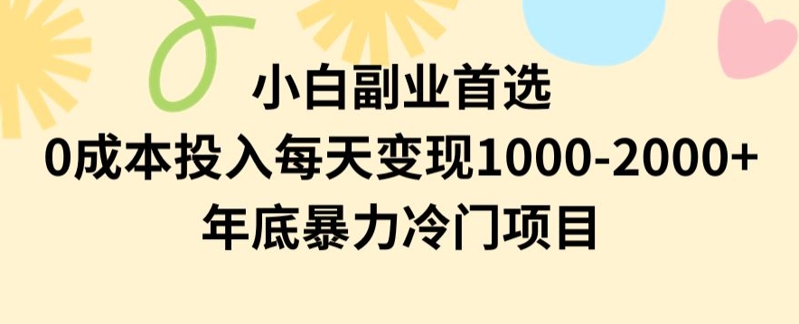 小白副业首选，0成本投入，每天变现1000-2000年底暴力冷门项目【揭秘】-致富资源库