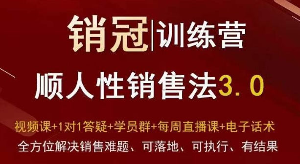 爆款!销冠训练营3.0之顺人性销售法,全方位解决销售难题、可落地、可执行、有结果-致富资源库