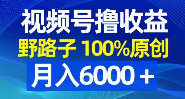 视频号野路子撸收益，100%原创，条条爆款，月入6000＋【揭秘】-致富资源库