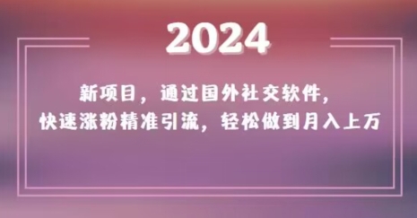 2024新项目,通过国外社交软件,快速涨粉精准引流,轻松做到月入上万【揭秘】-致富资源库