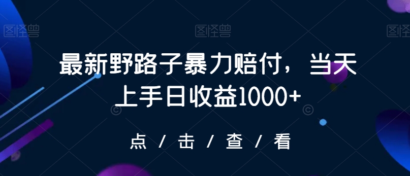 最新野路子暴力赔付，当天上手日收益1000+【仅揭秘】-致富资源库