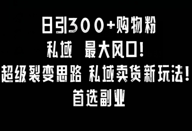 日引300+购物粉,超级裂变思路,私域卖货新玩法,小红书首选副业【揭秘】-致富资源库