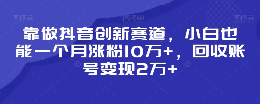靠做抖音创新赛道，小白也能一个月涨粉10万+，回收账号变现2万+【揭秘】-致富资源库