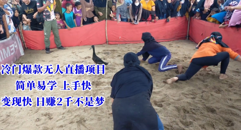 冷门爆款无人直播项目，简单易学上手快，变现快日赚2千不是梦【揭秘】-致富资源库