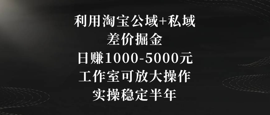 利用淘宝公域+私域差价掘金,日赚1000-5000元,工作室可放大操作,实操稳定半年【揭秘】-致富资源库