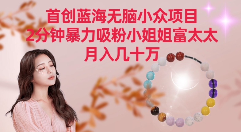 首创蓝海无脑小众项目,2分钟暴力吸粉小姐姐富太太,月入几十万【揭秘】-致富资源库