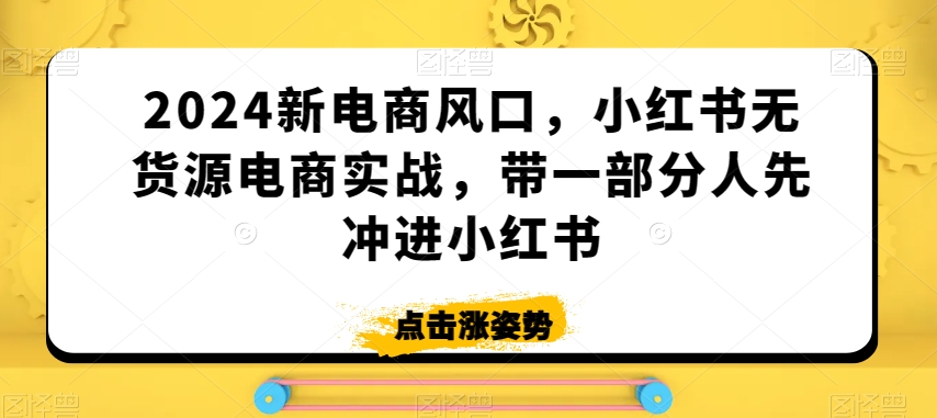 2024新电商风口，小红书无货源电商实战，带一部分人先冲进小红书-致富资源库
