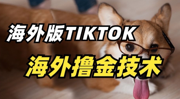 抖音海外版tiktok撸金技术,这个风口行业,赚钱真的不难【揭秘】-致富资源库