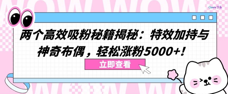 两个高效吸粉秘籍揭秘：特效加持与神奇布偶，轻松涨粉5000+【揭秘】-致富资源库