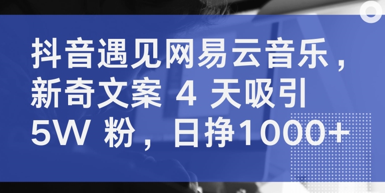 抖音遇见网易云音乐,新奇文案 4 天吸引 5W 粉,日挣1000+【揭秘】-致富资源库