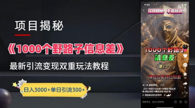 一千个野路子信息差最新玩法教程-变现+引流的玩法具体拆解【揭秘】-致富资源库