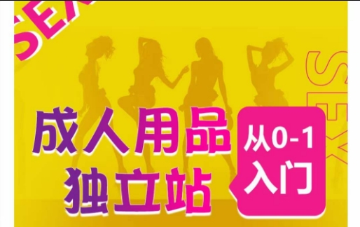 成人用品独立站从0-1入门,成品独立站运营全流程教学,七大好卖成品独立站推荐-致富资源库
