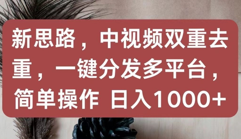 新思路，中视频双重去重，一键分发多平台，简单操作，日入1000+【揭秘】-致富资源库