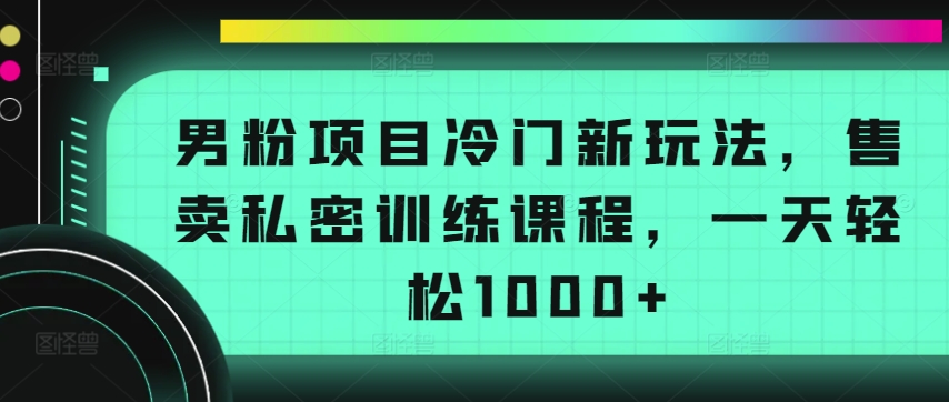 男粉项目冷门新玩法,售卖私密训练课程,一天轻松1000+【揭秘】-致富资源库