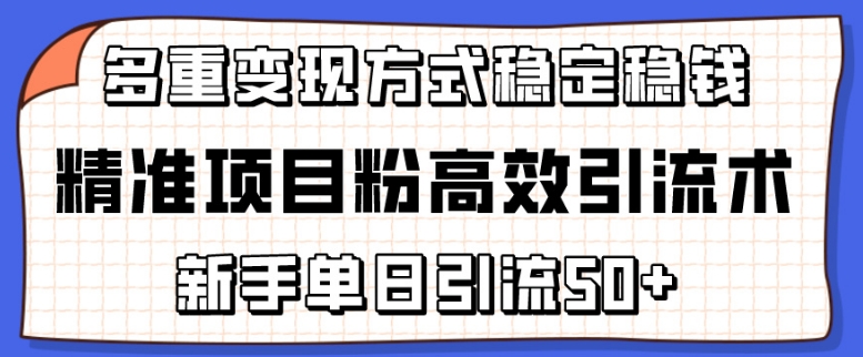 精准项目粉高效引流术,新手单日引流50+,多重变现方式稳定赚钱【揭秘】-致富资源库