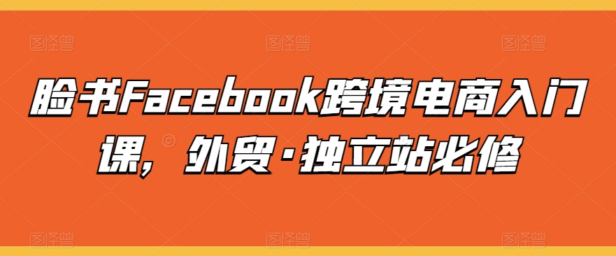 脸书Facebook跨境电商入门课,外贸·独立站必修-致富资源库