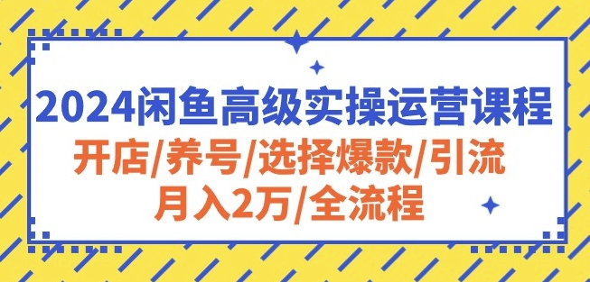 2024闲鱼高级实操运营课程:开店/养号/选择爆款/引流/月入2万/全流程-致富资源库