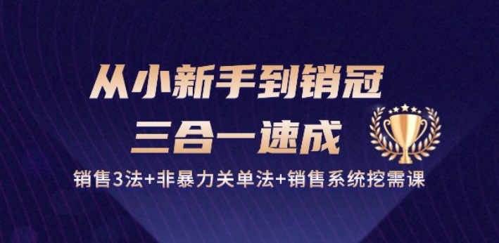 从小新手到销冠 三合一速成:销售3法+非暴力关单法+销售系统挖需课 (27节)-致富资源库