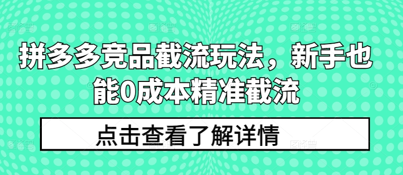 拼多多竞品截流玩法，新手也能0成本精准截流-致富资源库