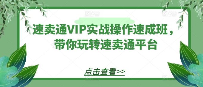 速卖通VIP实战操作速成班,带你玩转速卖通平台-致富资源库