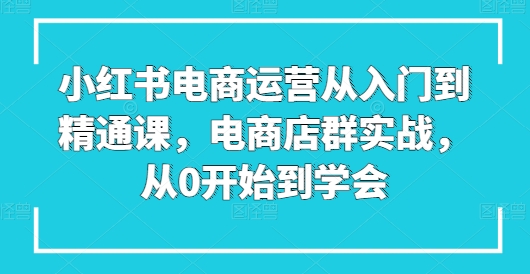 小红书电商运营从入门到精通课,电商店群实战,从0开始到学会-致富资源库