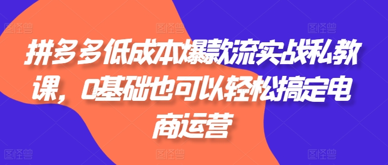 拼多多低成本爆款流实战私教课，0基础也可以轻松搞定电商运营-致富资源库